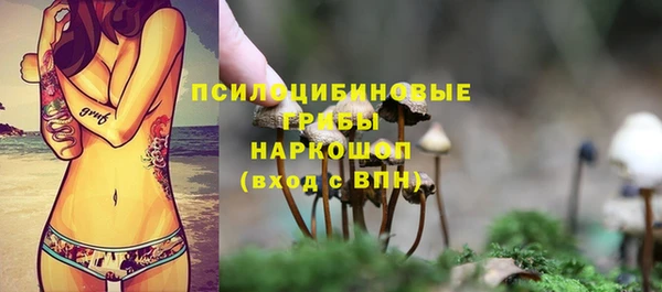 марки lsd Белокуриха