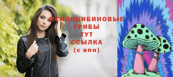 марки lsd Белокуриха